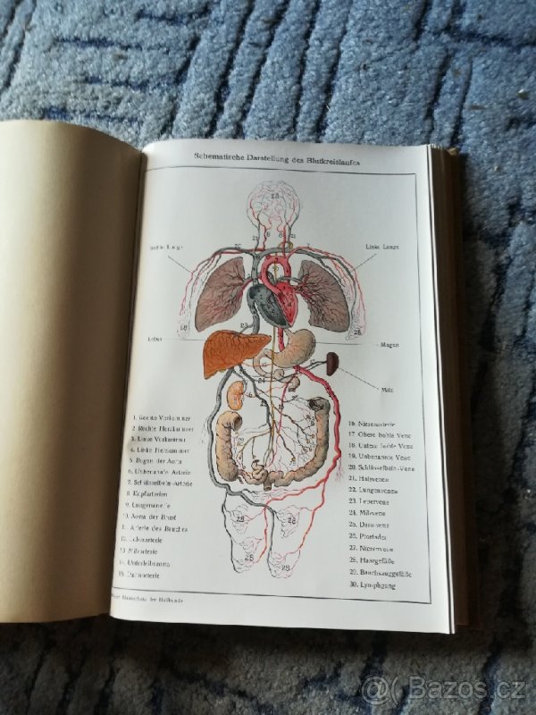 Neuer Hausschatz der Heilkunde-Nový poklad medicíny - 6