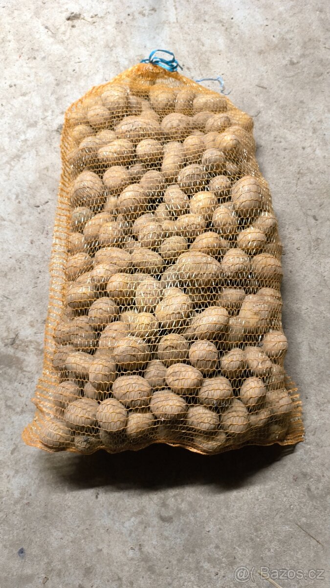 Brambory na uskladnění - 6