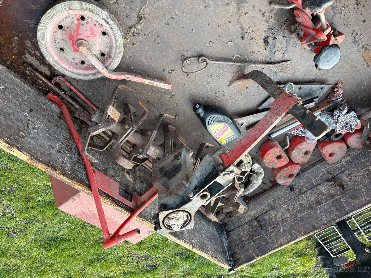 TERRA VARI motor Honda - 6