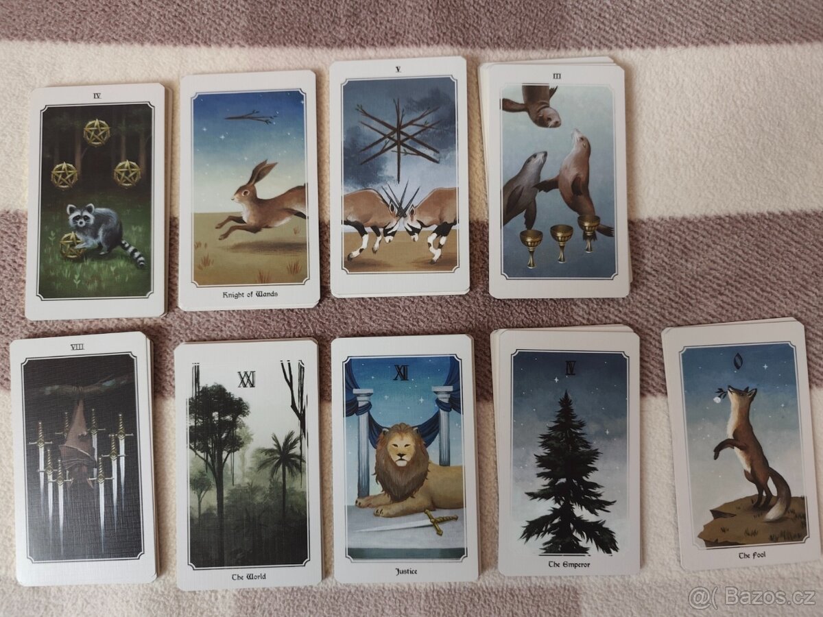 Anima Mundi Tarot - 6