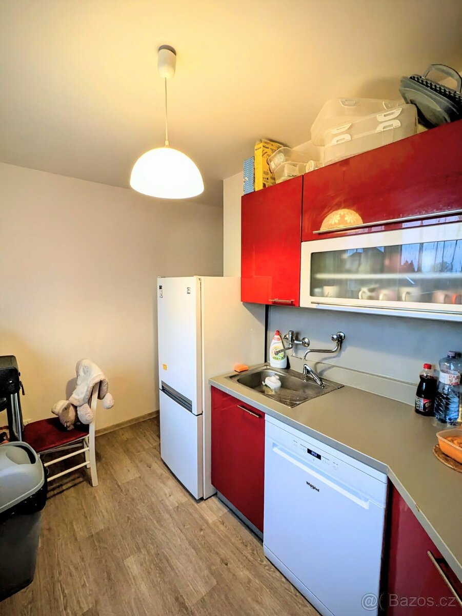 Prodej zrekonstruovaného bytu 2+1 - 6