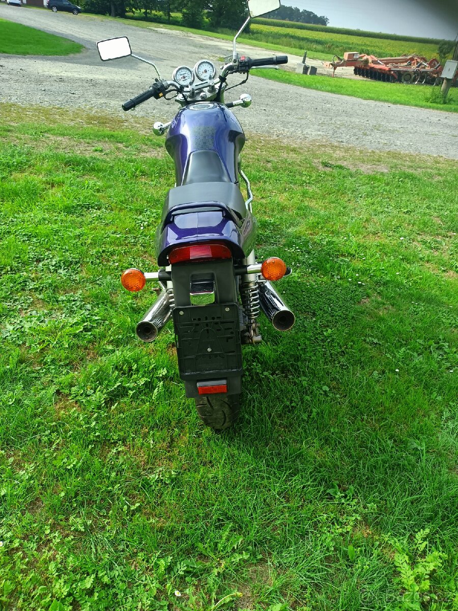 Suzuki VX 800 - 6