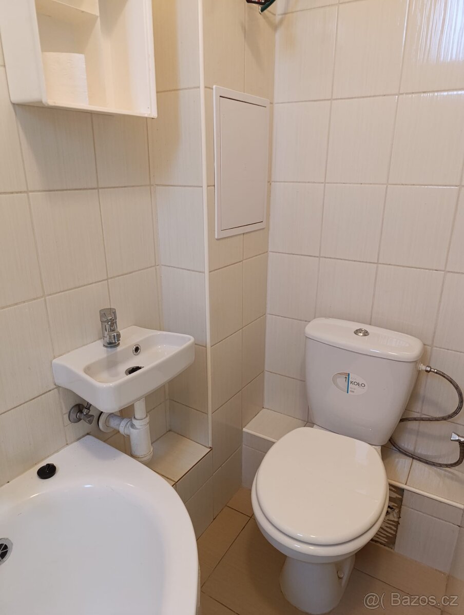 Pronájem bytu 2+1 Karlovy Vary - 6