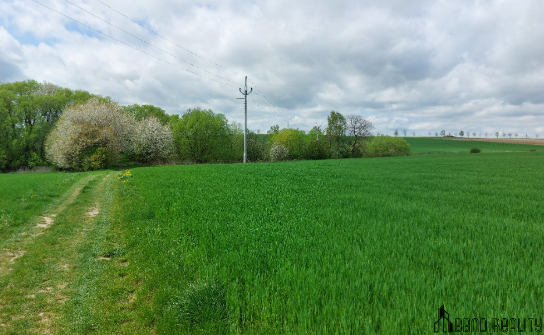 Prodej rybníku – vodní plochy, 12 045 m², Krásensko (Vyškov) - 6