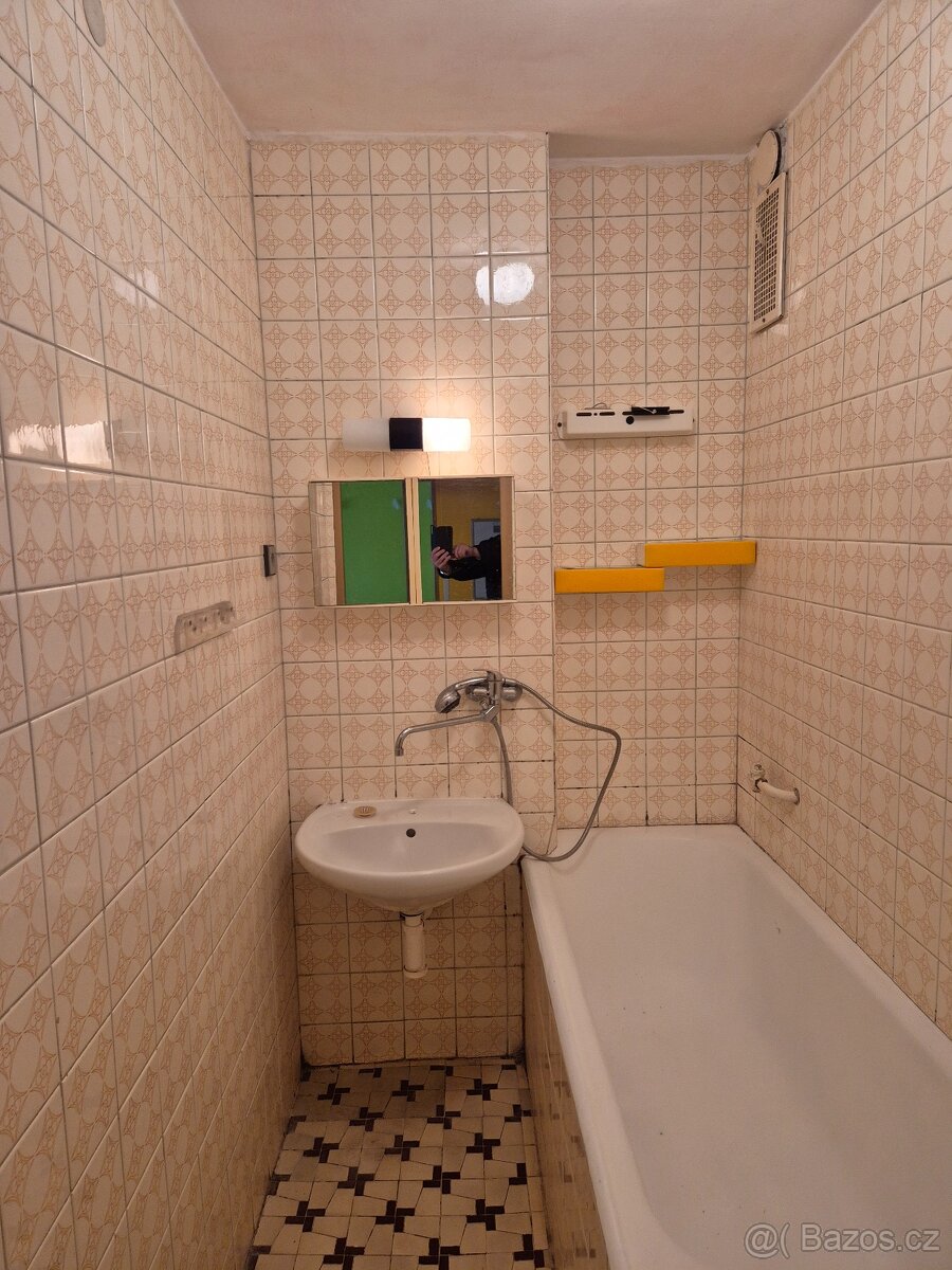 Dlouhodobý pronájem 4+1 v RD v Uherském Hradišti - 6