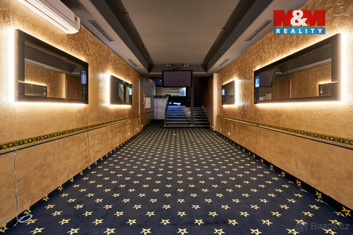 Pronájem obchod a služby, 205 m², Uherský Brod, ul. Moravská - 6