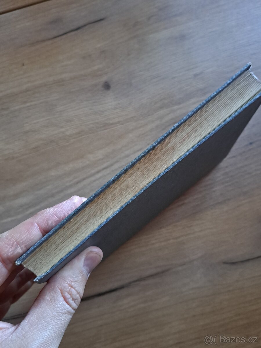 Miláček lidu svého - Karolina Světlá - 6