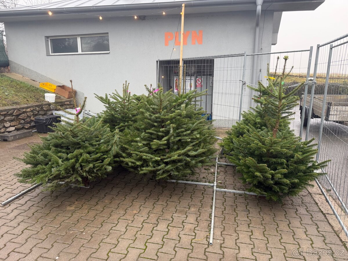 Vánoční stromky - 6