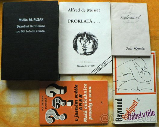 21 rozmanitých knih (viz seznam a fota) - 6