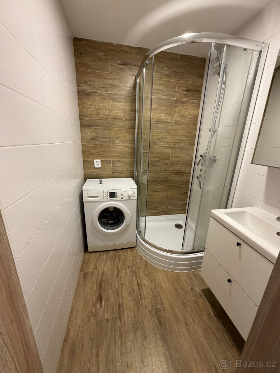 Pronajem bytu 2kk+Lodžie - 6