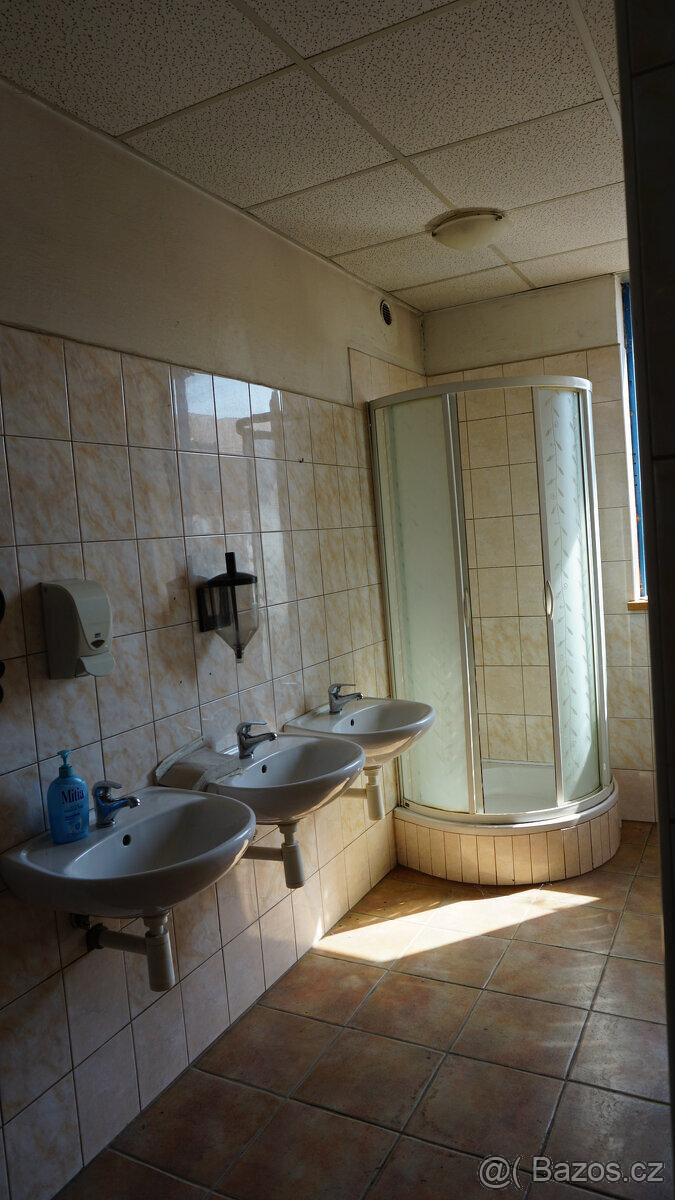 výrobní hala 600m2, skladovací prostor - 6