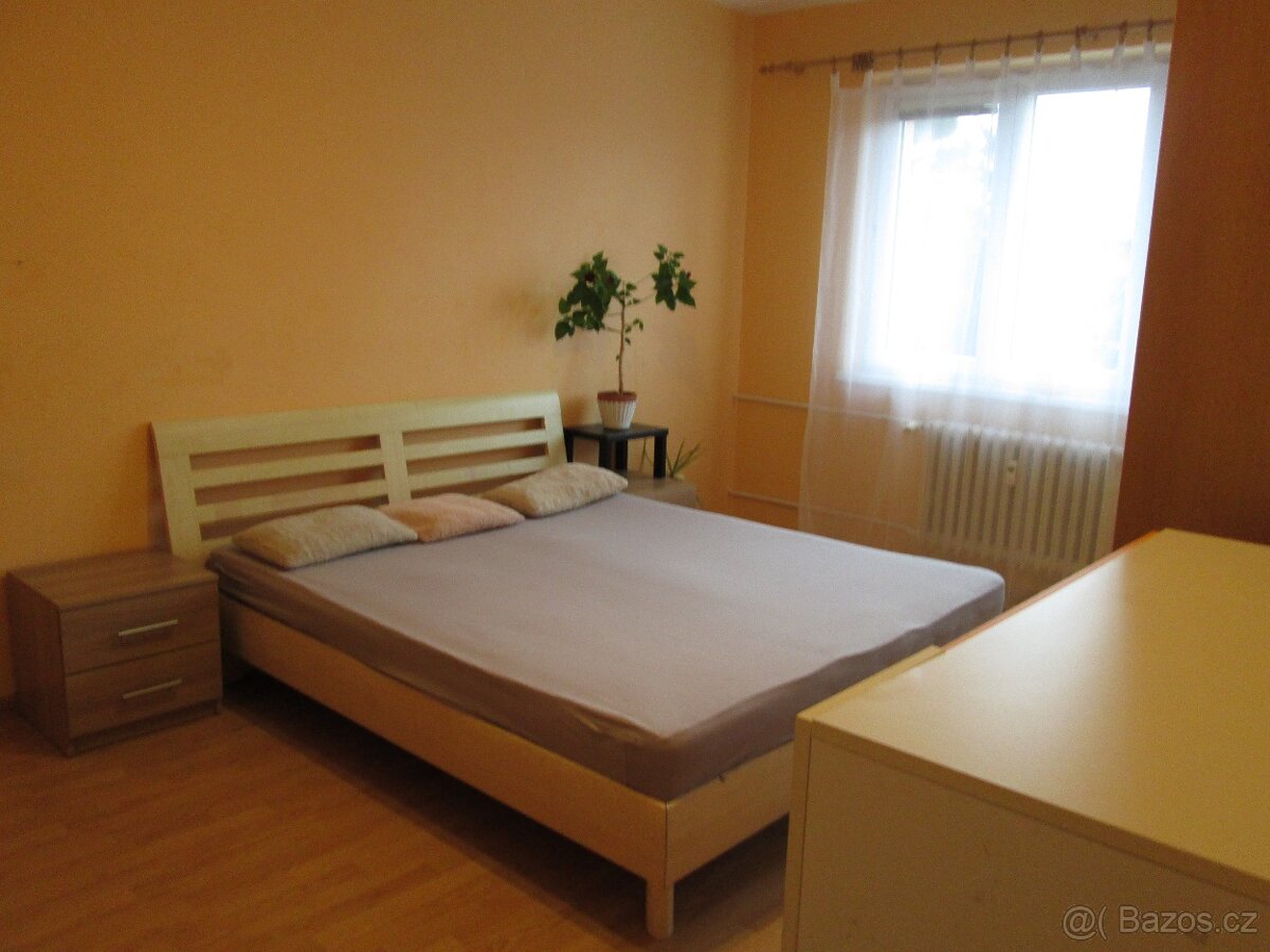 2+1 s lodžií v Uh. Brodě, bez RK - bez provize - 6