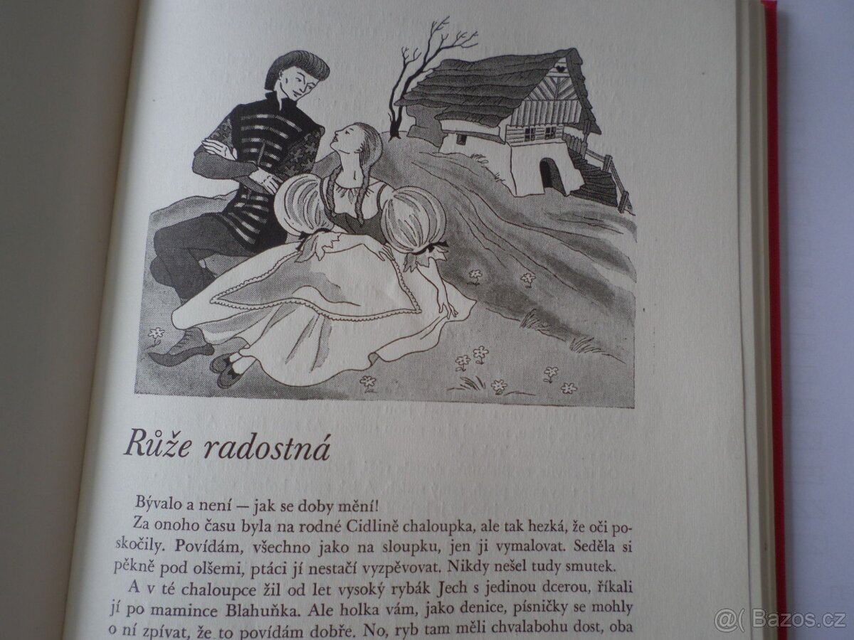 Záhon rozmarynky - 6