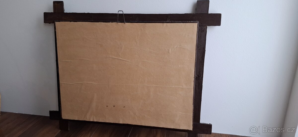 Půlvycpavky ptáků -ptaci v obrazech - 6