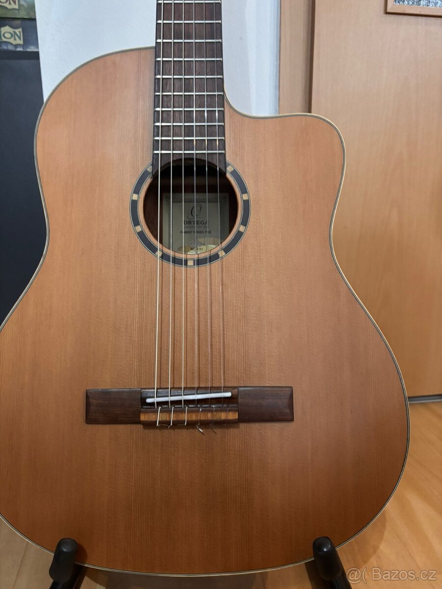 Elektroakustická kytara - 6