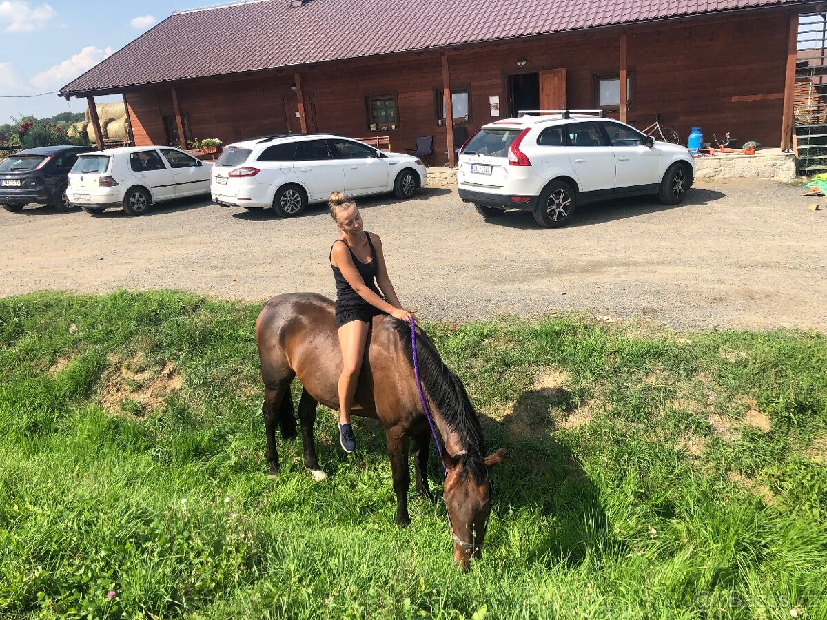 Valach po Grand Step - 6