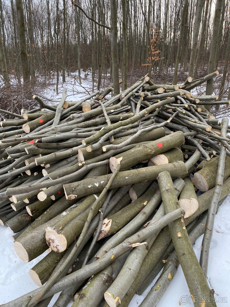 Palivové dřevo tvrdé,měkké.. - 6