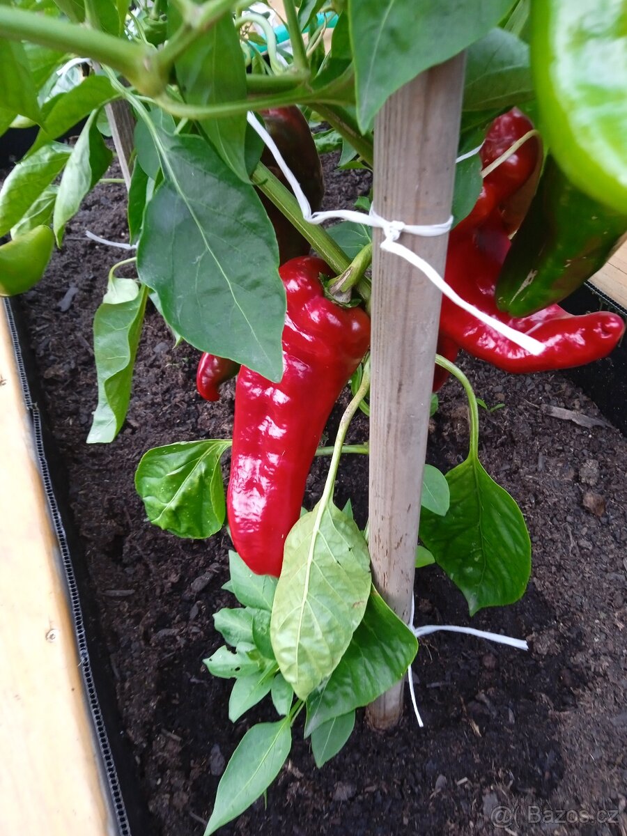 Vyvýšené záhony a truhlíky - 6