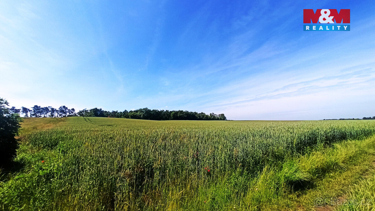 Prodej pole, 31465 m², Měnín - 6