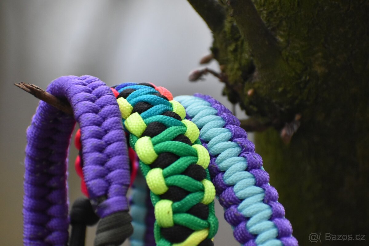 Duhová ohlávka - 6