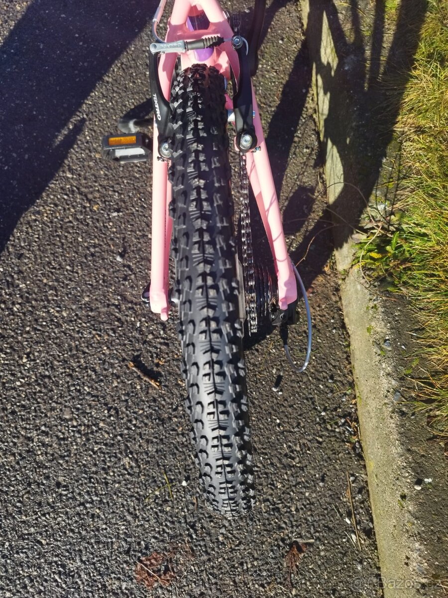 Dívčí kolo 20" - 6