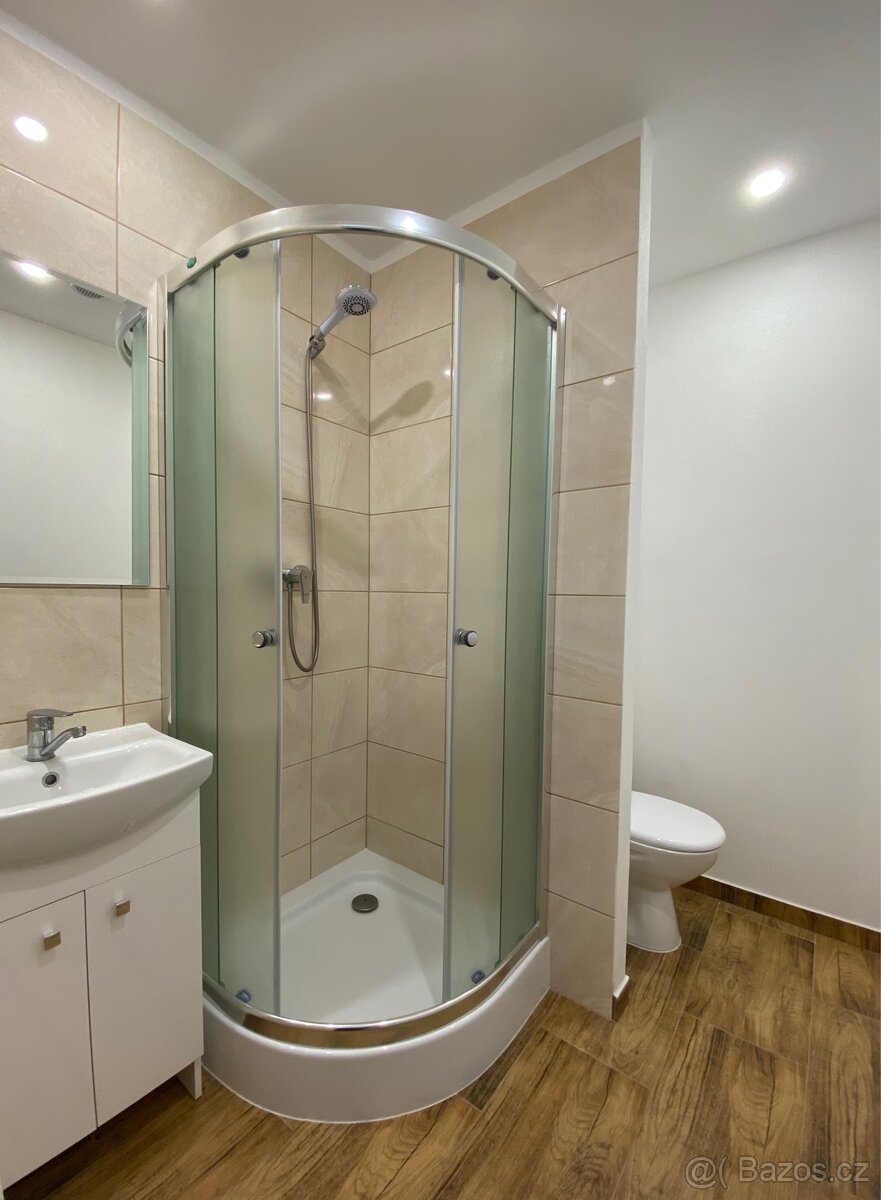 Pronájem bytu 1+1 - 6