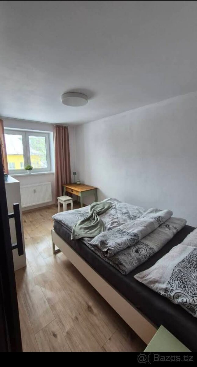 Pronájem bytu 3+1 v Břidličné - 6