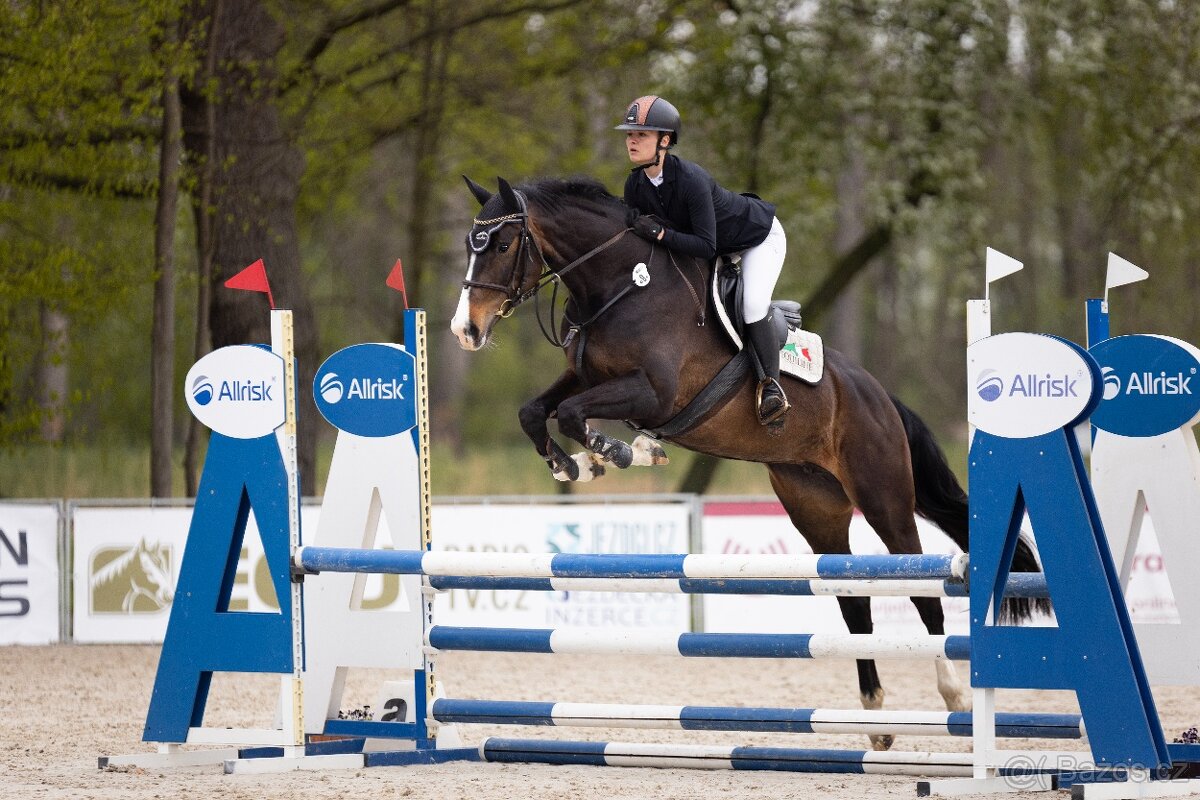 Klisna do sportu a na rekreaci - 6