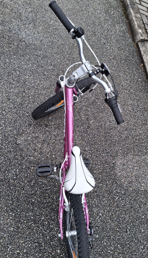 Dětské dívčí horské kolo TREK 20 “ - 6