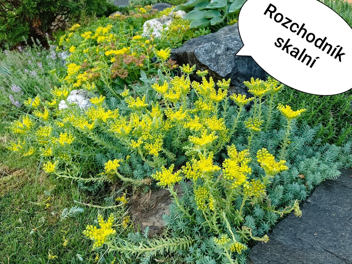Zelená střecha - 6