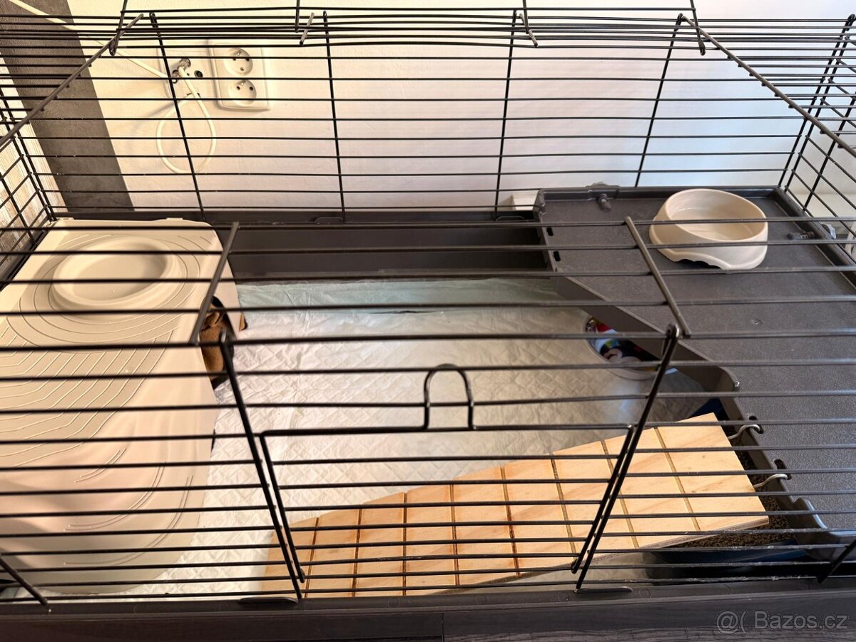 Ježek bělobřichý (africký) - 6