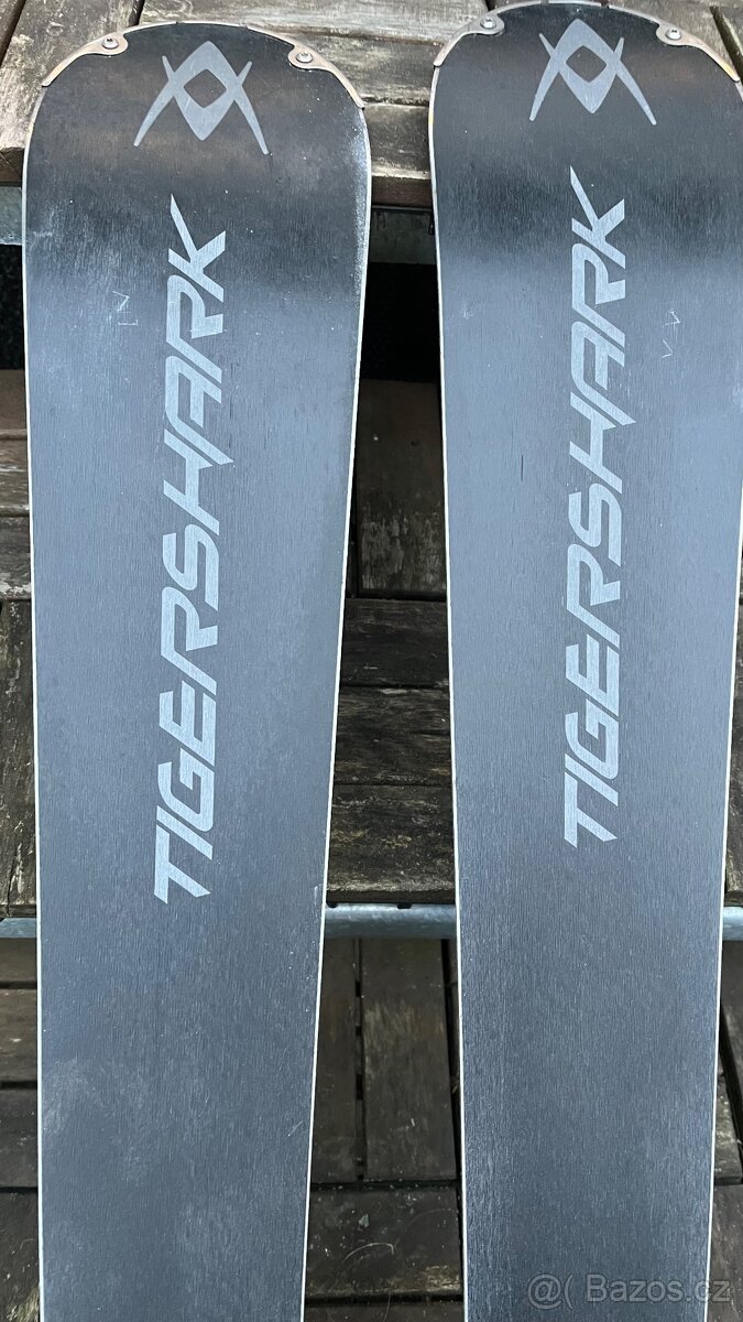 Prodám Lyže Völkl Tigershark 11FT 168 cm - 6