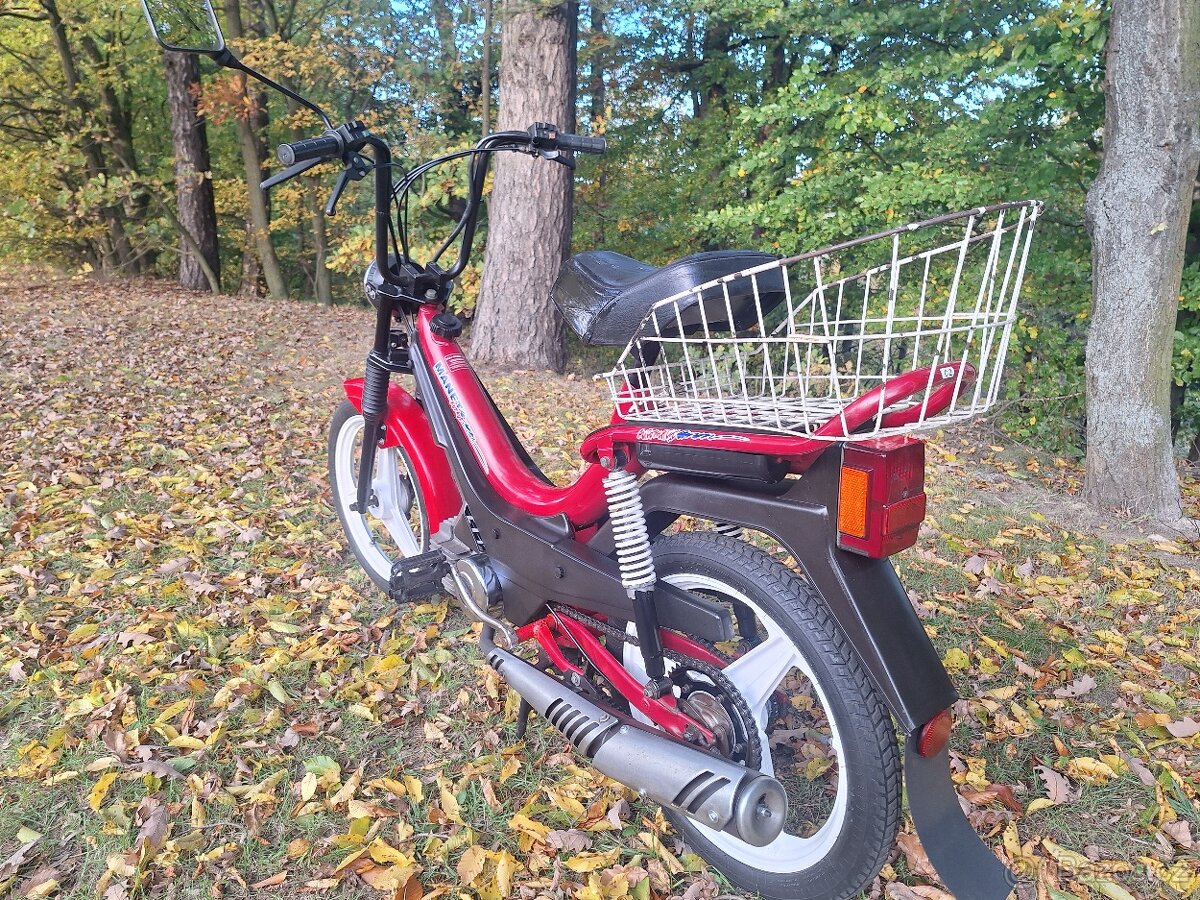 Manet korado v pěkném stavu - 6