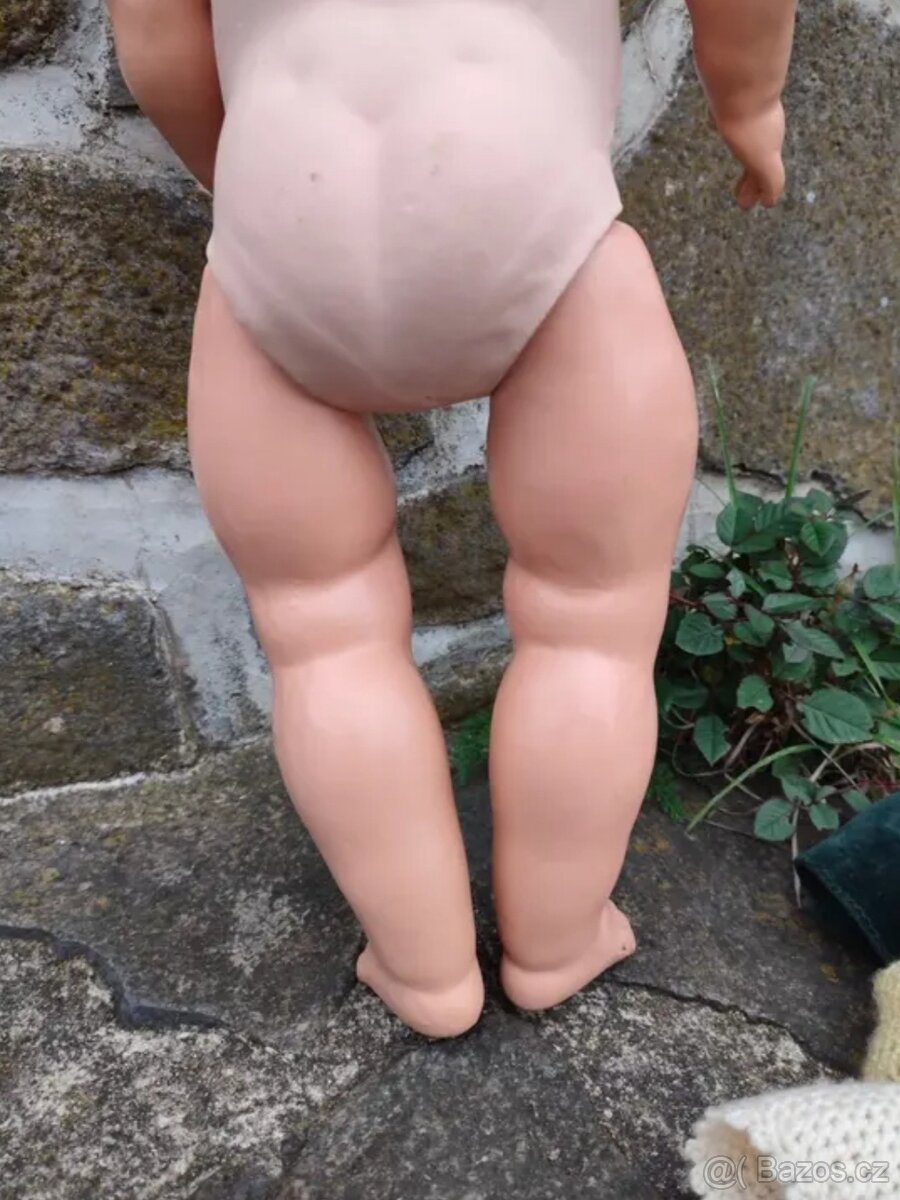 Panenka želva velká - 6