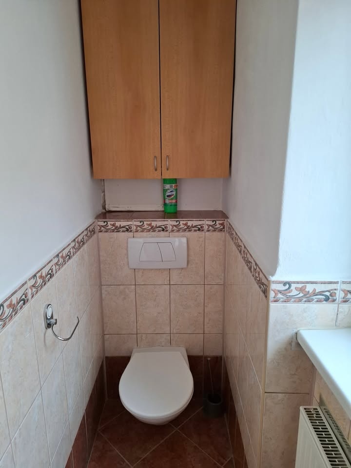 Pronájem bytu 2+1 Vítkov - 6