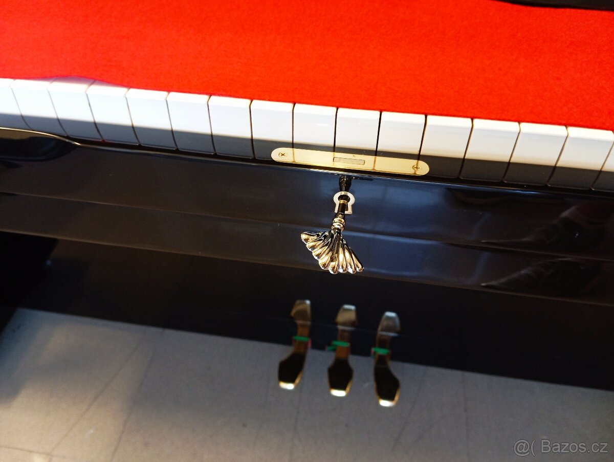 Hyundai mod.120-Dovoz i na Štědrý den 24.12. - 6