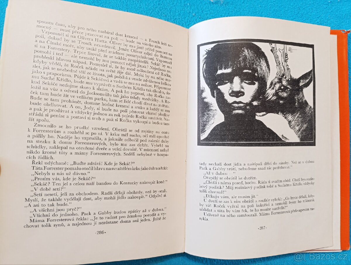 DÍTĚ DIVOČINY - M.K.Rawling - 6