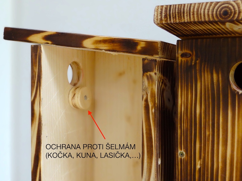 Ptačí budka pro strakapoudy s ochranou proti predátorům - 6