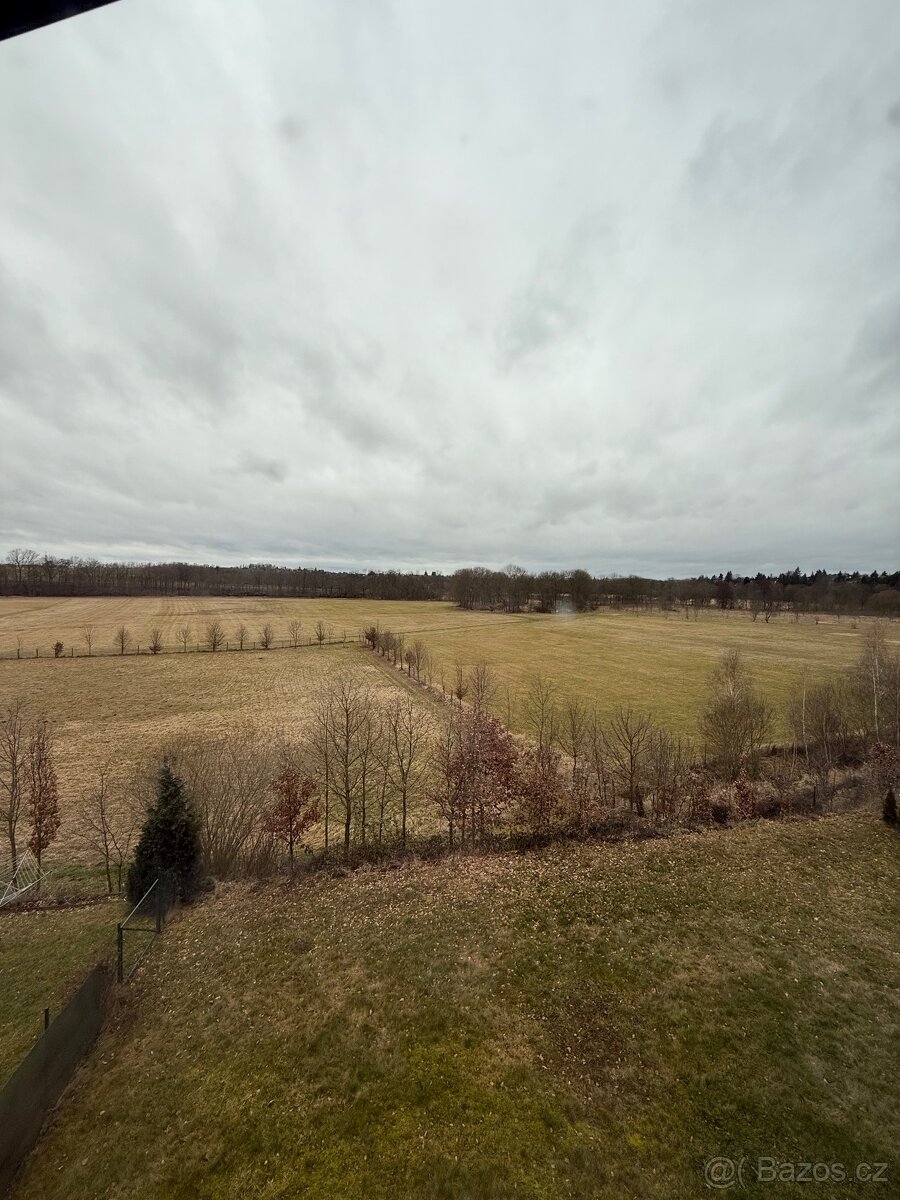 Pronájem pokoje v rodinném domě - 6