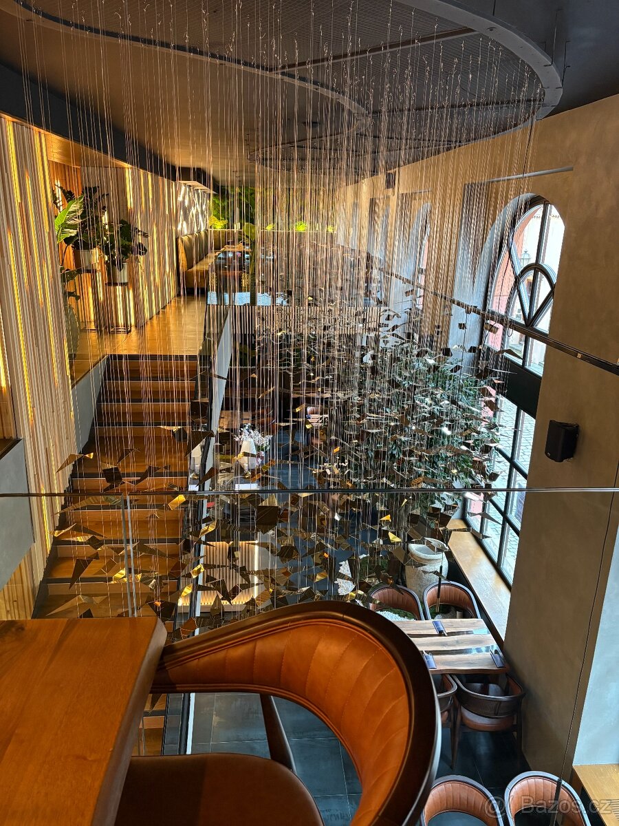 Trofejní nemovitost v centru Hradce Králové - 6