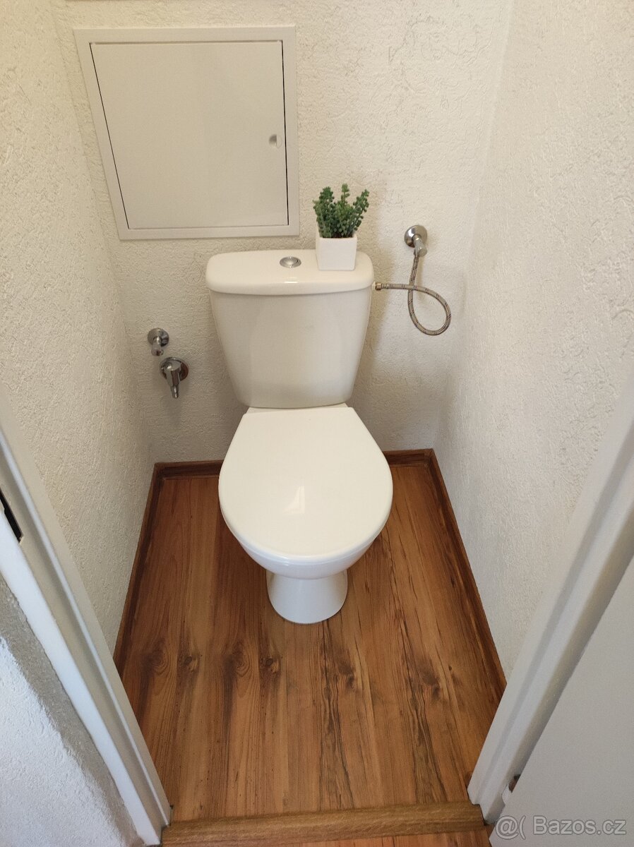 Pronájem bytu Nová Role 1+1 - 6