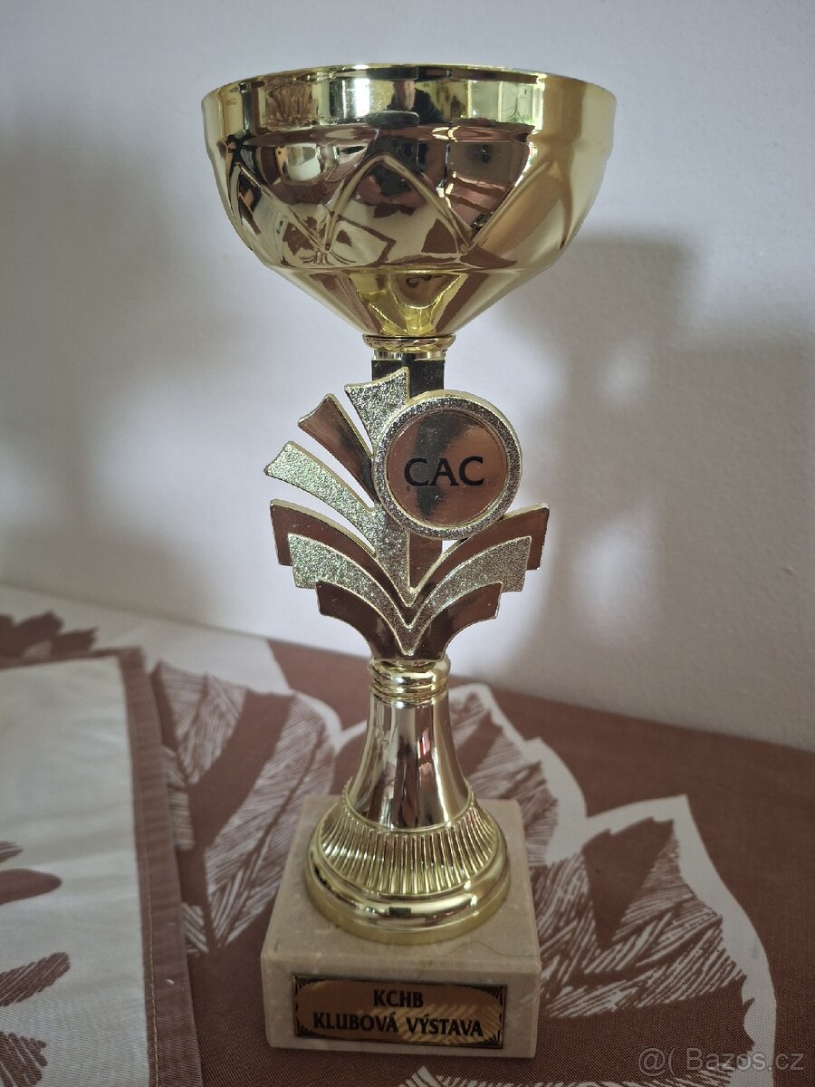 Krásné poháry - 6