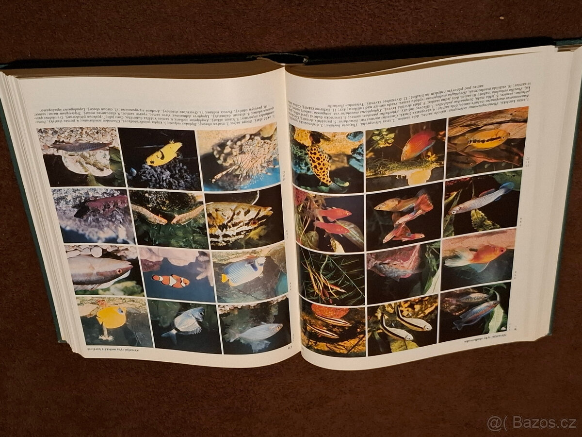 Malá československá encyklopedie A-Č - 6