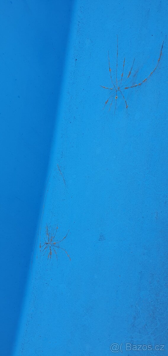 Skluzavka do bazénu s konstrukcí - 6