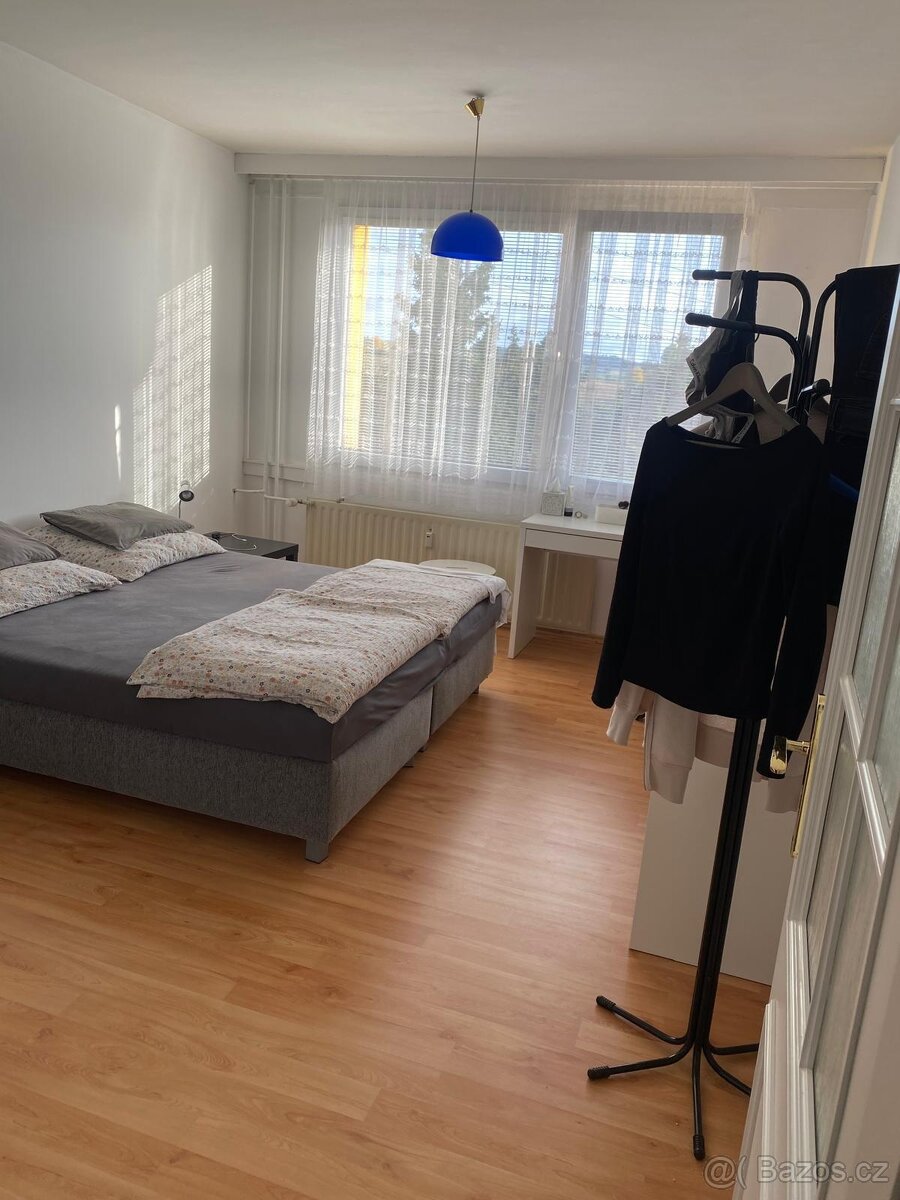 Prodávám byt s garáží 2+1 na Jihu - 6