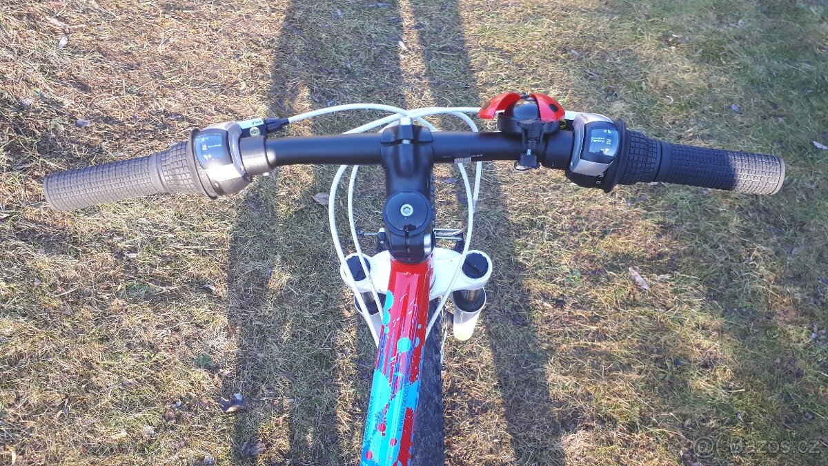 Dětské kolo Superior Paint 24 - 6