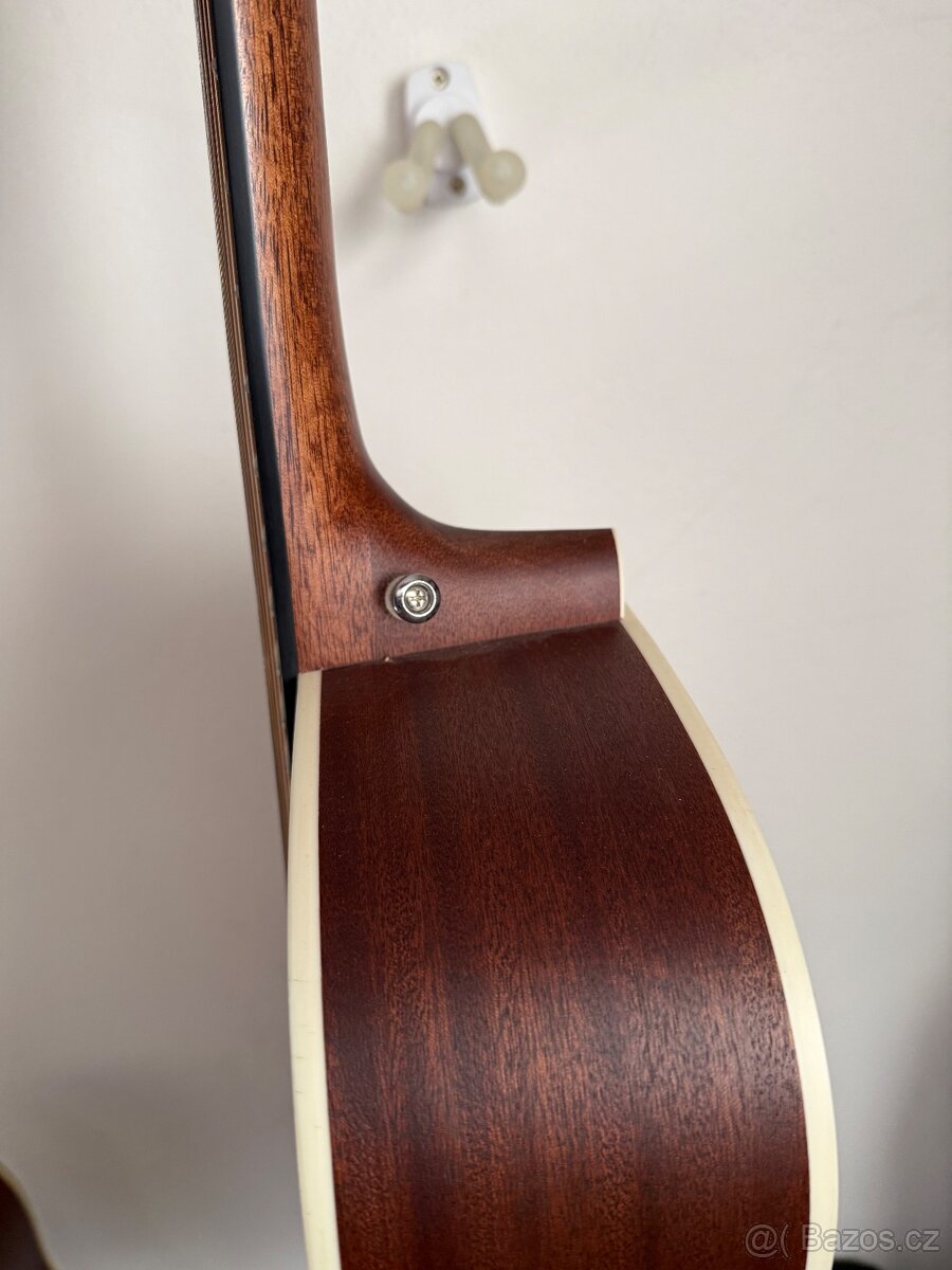 Kytara Cort Earth 70/12 - 6