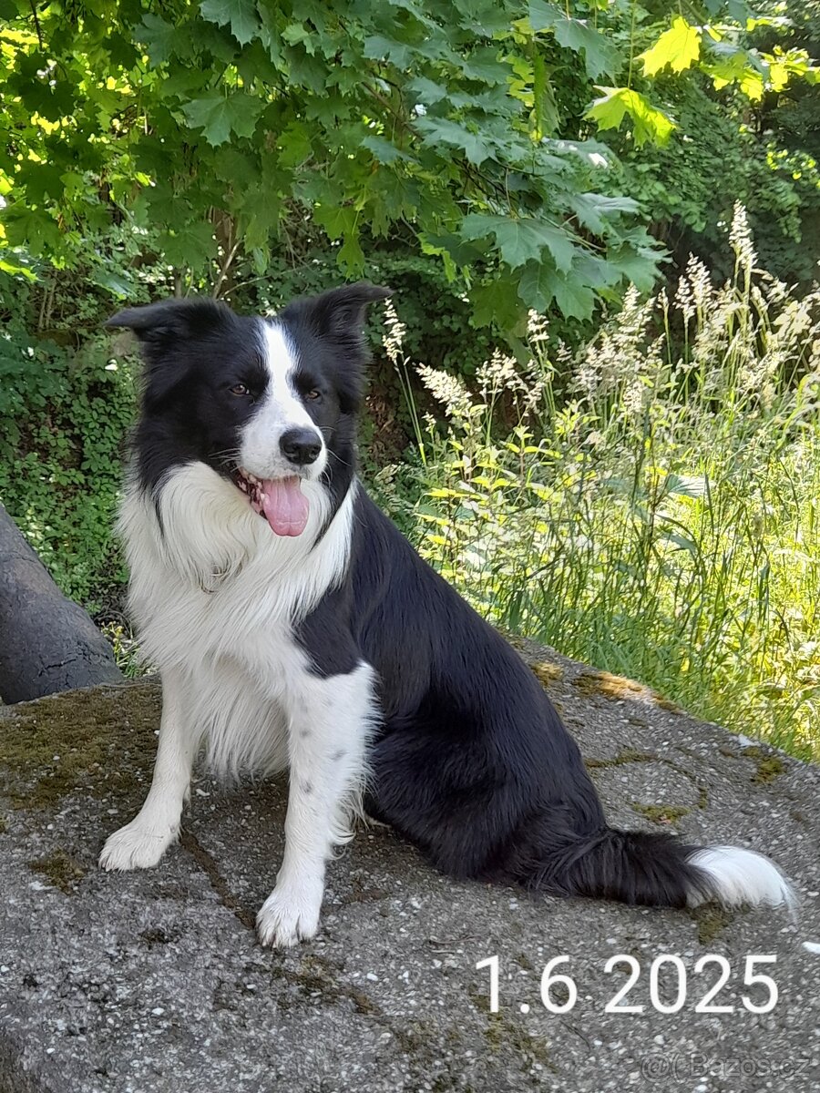 Nabidka kryti bez pp - 6