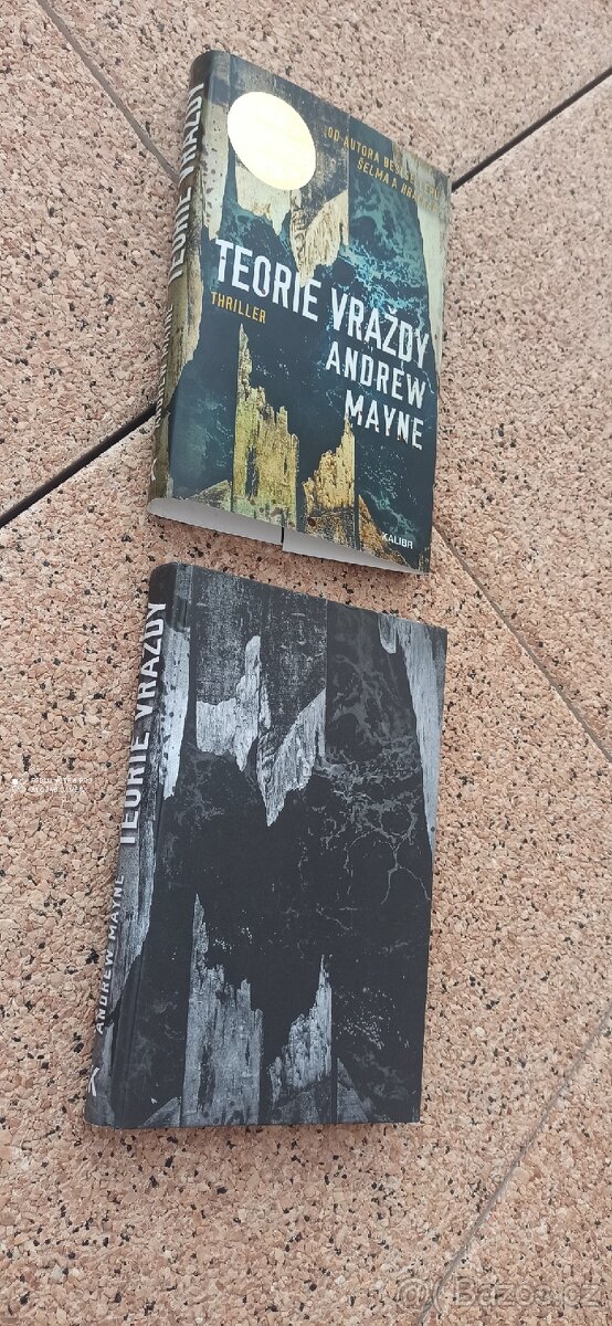 TEORIE VRAŽDY ANDREW MAYNE (série 3.díl) - 6