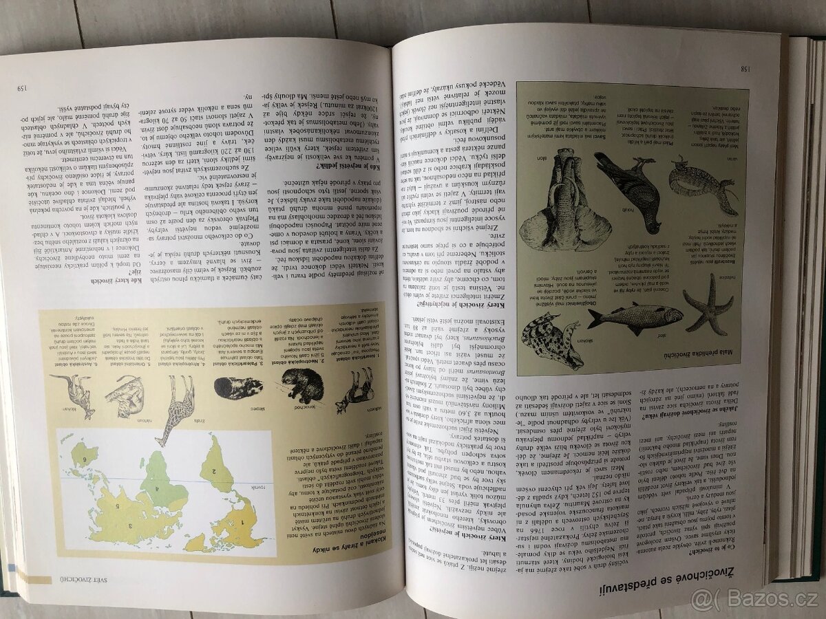 Knížka pro děti: ABC přírody - 6